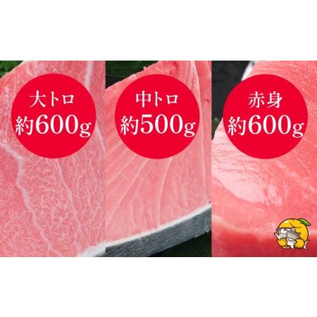 ふるさと納税 本まぐろづくし セット 大トロ500g 中トロ600g 赤身600g 鮪 海鮮丼 刺し身 刺身 盛り合わせ 冷凍 魚の刺身 大分県産 九州産 津久.. 大分県津久見市