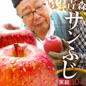 2023年産 青森県産りんご ご家庭用 訳あり サンふじ 10kg （約32玉～46玉入り）産地直送 工藤農園