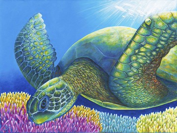 海龜繪畫－我屬於的地方 Sea Turtle Painting