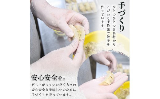 宮崎県特産柑橘のへべす餃子(計50個・10個×5パック)