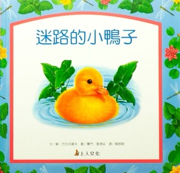 迷路的小鴨子[二手書_良好]