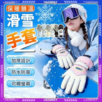 HAOSRAY🔥機車手套🔥滑雪手套 雪地手套 防水手套 加絨加厚 手套 機車 騎車手套 保暖手套 觸控手套 冬天手套