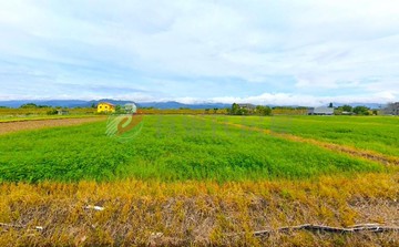 三星近羅東與高鐵預定地大面寬足坪方正美農地940｜宜蘭縣三星鄉新日興段