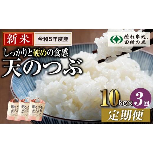 ふるさと納税 福島県 田村市 ＼ 年内発送 12／24(日)決済完了分まで！／定期便3回 田村産 天のつぶ10kg 毎月 お届け お米 福島県 田村市 …