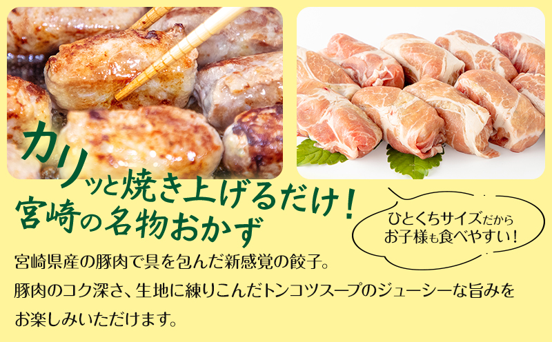 宮崎県産 豚 使用 肉巻 餃子 20個入り_M132-034