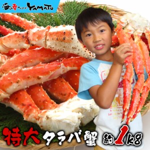 特大タラバ蟹脚 1kg カニ かに タラバガニ たらばがに お年賀 父の日 敬老の日 贈答 内祝い グルメ 海鮮 お中元