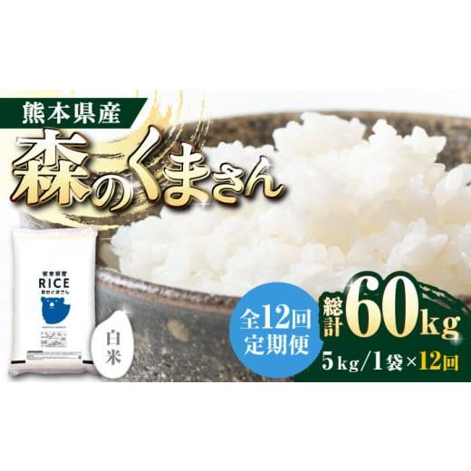 ふるさと納税 熊本県 山鹿市   森のくまさん 白米 5kg5kg 白米 精米 森のくまさん 特産品 コメ 米 お米 …