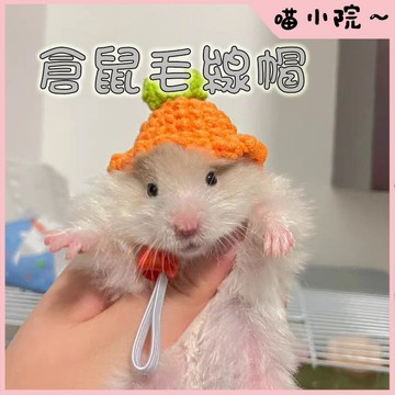 倉鼠用品 倉鼠帽子 倉鼠帽 倉鼠可愛頭套 小寵可愛帽子 小寵用品 小寵編織帽 小寵針織帽 倉鼠帽子