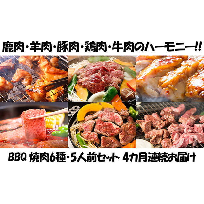 定期便 4ヵ月連続4回 BBQ 焼肉 5人前セット 6種 各1 お肉 牛肉 豚肉 鶏肉 羊肉 鹿肉 肉 ジビエ ジンギスカン 味付き たれ 焼き肉 バーベキュー アウトドア パーティー 詰め合わせ お