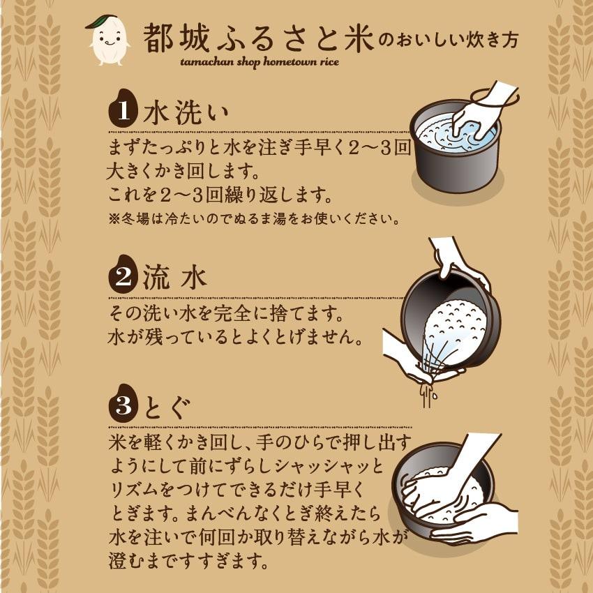 都城ふるさと米 300g 2合(無洗米）令和4年産ひのひかり 九州 米 宮崎県都城市産 送料無料