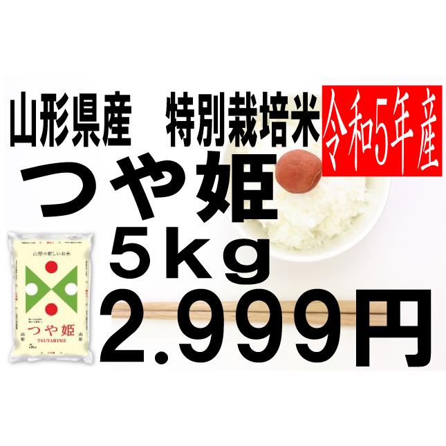 米　令和5年度産　山形県産　特別栽培米　つや姫 5kg