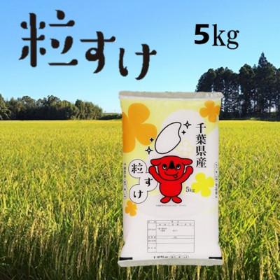 ふるさと納税 白子町 新米 令和5年産千葉県産粒すけ 精米 5kg (5kg×1袋)