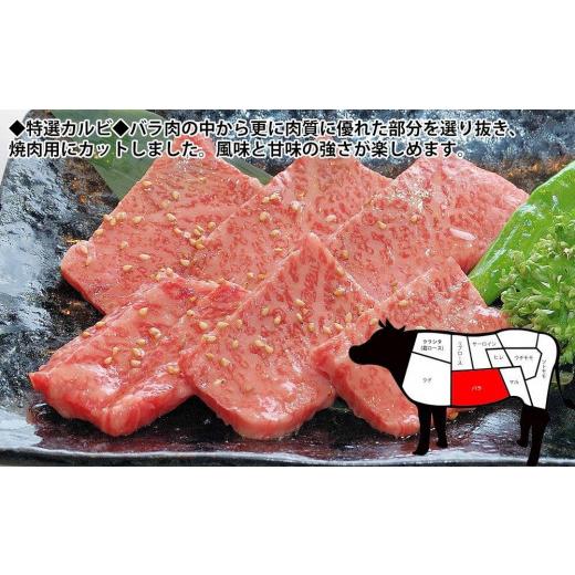 ふるさと納税 高知県 高知市 プレミアム焼肉セット約2kg 土佐和牛 牛肉 豚肉 肉詰め合わせ