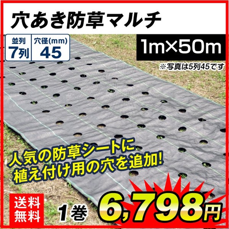 農業用マルチシート 穴あき防草マルチ 7列45 1.5×50m 1巻1組 農用 マルチング 防草シート 被覆資材 ポリプロピレン 防草 透水 地温上昇  国華園 通販 LINEポイント最大0.5%GET | LINEショッピング