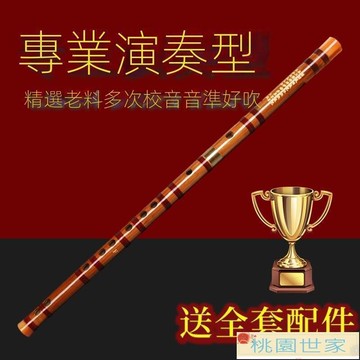 免運 長笛 豎笛 笛子 專業笛子初學成人苦竹笛樂器竹笛精制入門e橫笛演奏級g調f兒童c女