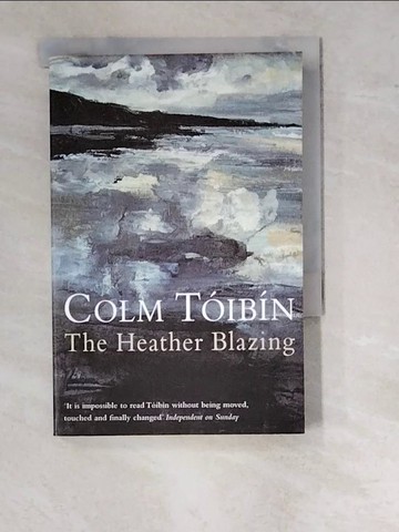 【書寶二手書T9／原文小說_RZF】The Heather Blazing_Colm Toibin