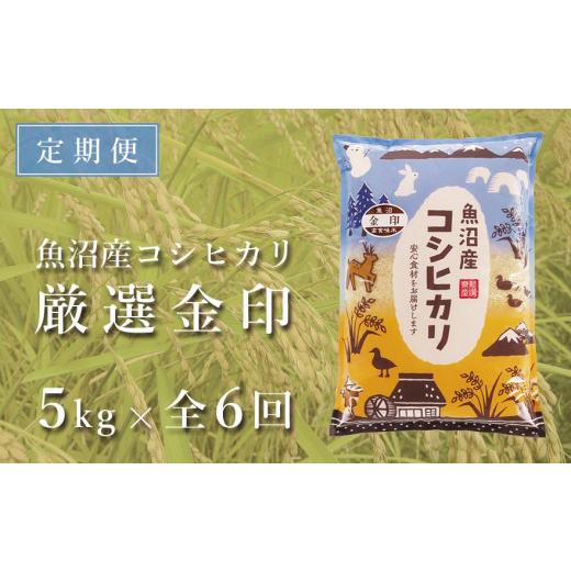 ふるさと納税 新潟県 津南町 ＜令和5年産新米＞魚沼産コシヒカリ「金印」高食味米 5kg×全6回（6ヶ月連続お届け）