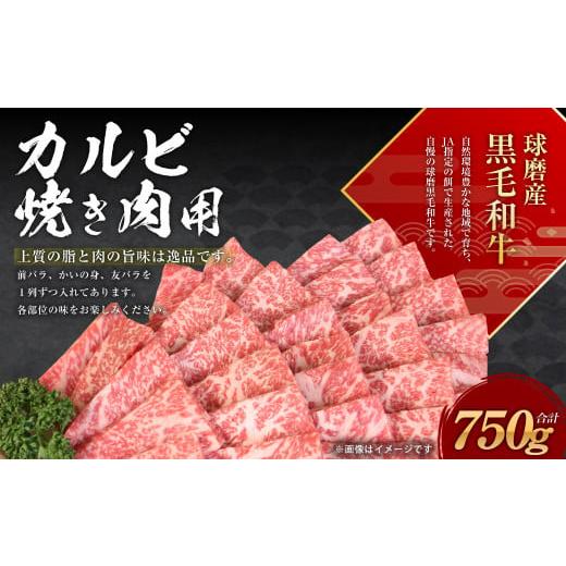 ふるさと納税 熊本県 水上村 球磨産 黒毛和牛 カルビ 焼き肉用 750g