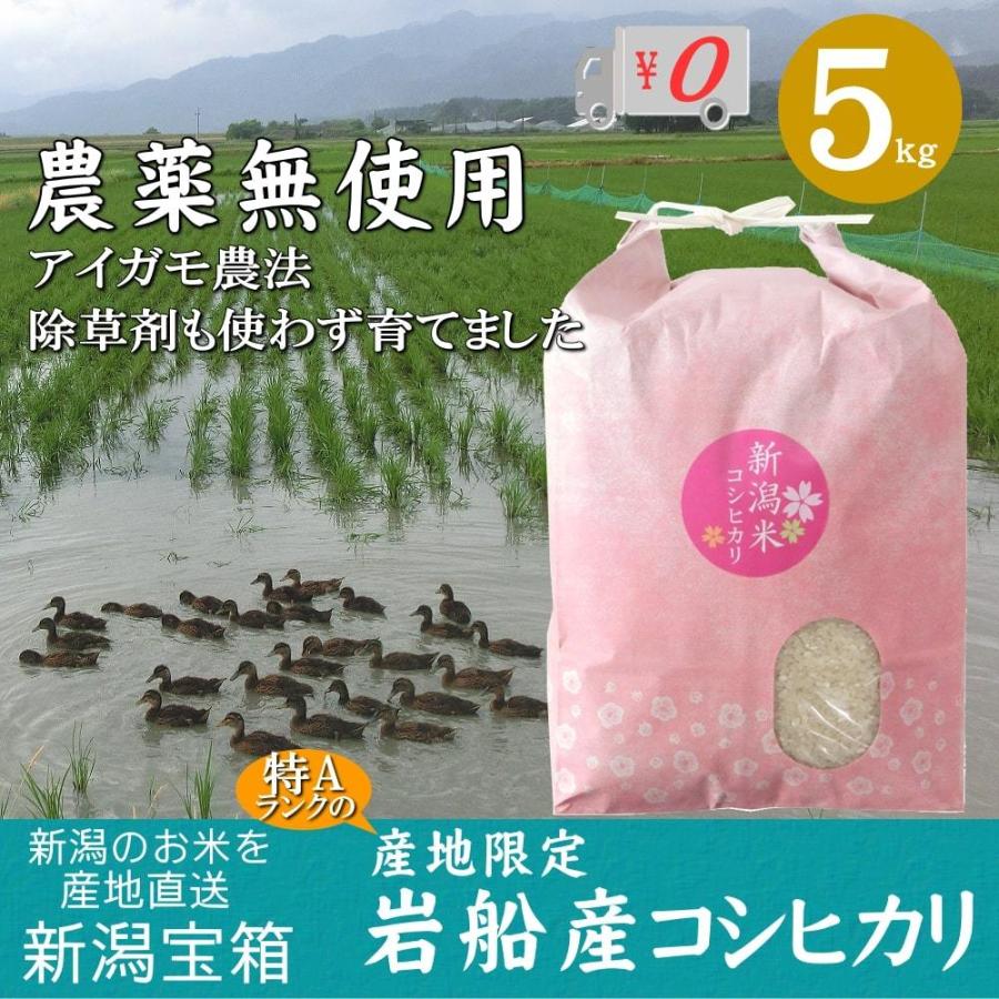 農薬無使用 米 新潟県岩船産コシヒカリ 5kg×1袋 5kg お米 白米 特A 送料無料