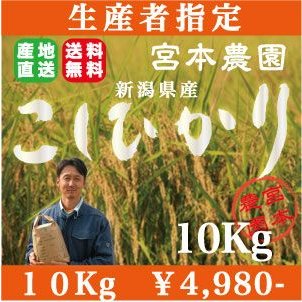 生産者指定！新米新潟産コシヒカリ!!新潟県白根産