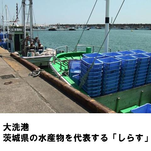 冷凍 ギフト 釜揚げ しらす 化粧箱入り 500g 贈答用 白す シラス お取り寄せ 添加物不使用 茨城県 大洗