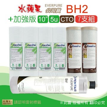EVERPURE BH2濾心+10吋5微米加強版PP濾心+CTO(7支組) 水蘋果公司貨