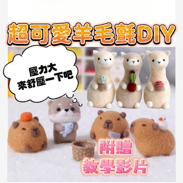 【隔日到貨 送教程】羊毛氈