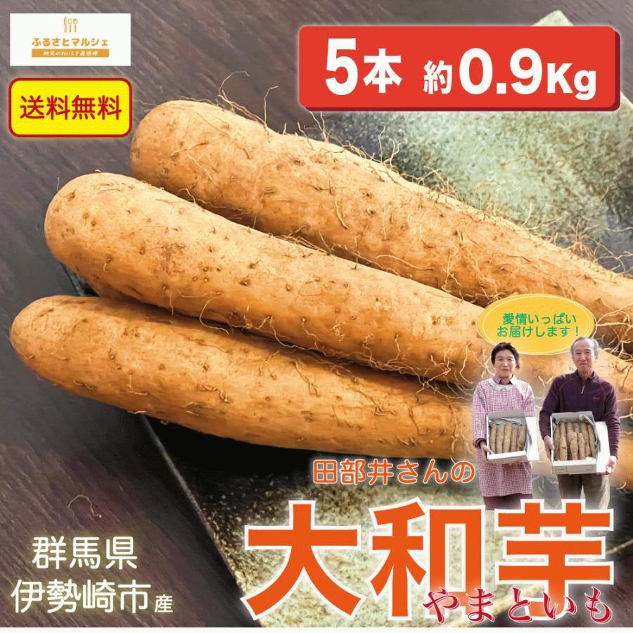 ご自宅用 大和芋 ヤマトイモ  5本 約 0.9Kg 贈答用にも 群馬県産 送料無料