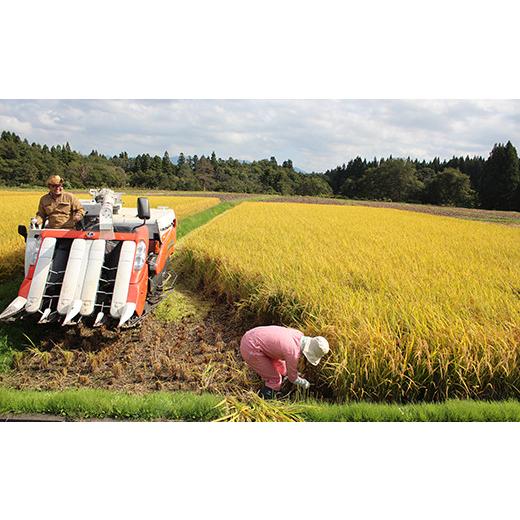 ふるさと納税 山形県 金山町 金山産米「つや姫」2kg×6ヶ月 計12kg 米 お米 白米 ご飯 精米 ブランド米 つや姫 送料無料 東北 …