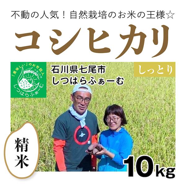 精米10kg「自然栽培のコシヒカリ」(石川県七尾市)しつはらふぁーむ　自然栽培＠のと 無施肥 令和5年産