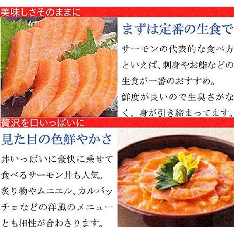 どさんこグルメマーケット サーモン 刺身 約2kg 冷凍 生食 手巻き 寿司 海鮮丼 切り身 焼き魚 料理 お造り 等に プレミアムグレード