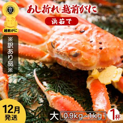 ふるさと納税 越前町 地元鮮魚店厳選  ≪浜茹で≫ 足折れ 越前がに 大サイズ 1杯