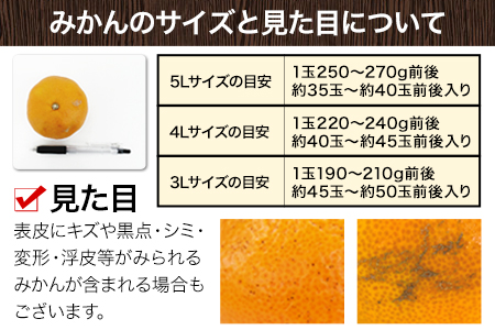 みかん 訳あり 大玉 ミカン 10kg 10キロ 熊本 ちょっと 訳あり 傷 5L～3Lサイズ 約10kg たっぷり 熊本県産 熊本県 期間限定 フルーツ 旬 柑橘 ご家庭用 長洲町 大粒《2024年1月中旬-2月末頃より出荷予定》