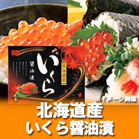 いくら 醤油漬け 送料無料 いくら醤油漬け 500g 鮭 いくら 醤油漬け 北海道 イクラ 500g 魚介類 魚卵 イクラ いくら醤油漬け