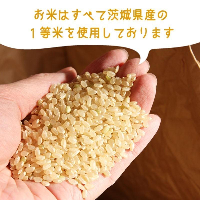 新米 コシヒカリ 白米 5kg 令和５年産 新米 茨城県産  おいしい 米 お米