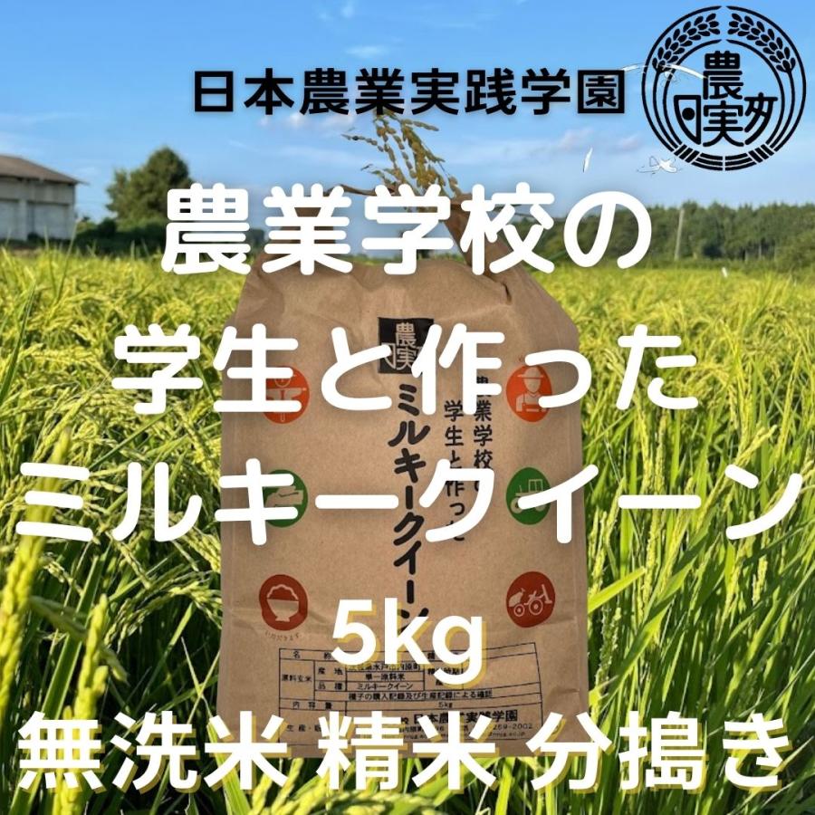 農業学校が作ったミルキークイーン5kg　無洗米　白米　精米　7分づき　3分づき　精米したて　米