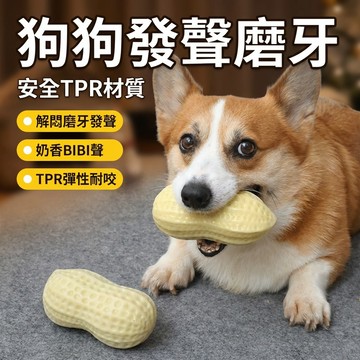 【台灣現貨】 寵物 花生玩具 狗狗玩具 寵物狗狗 發聲玩具 花生解悶神器 磨牙耐咬 柯基 泰迪 柴犬 玩具球