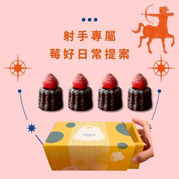 【逗可可】射手專屬莓好提案／LINE獨家／草莓甜心可麗露４入復古便當禮盒／宜蘭暢銷超人氣甜點／DOCOCO Dessert