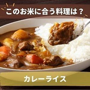 雪若丸 山形県大蔵村 柿崎康弘産 特別栽培米 令和4年産 尾形米穀店セレクション (玄米2kg)