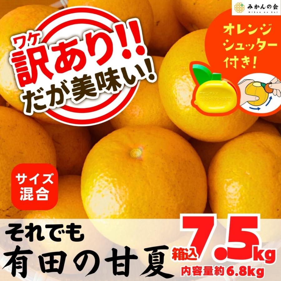 訳あり それでも 甘夏 箱込 7.5kg 内容量約 6.8kg サイズミックス 和歌山県 産地直送  