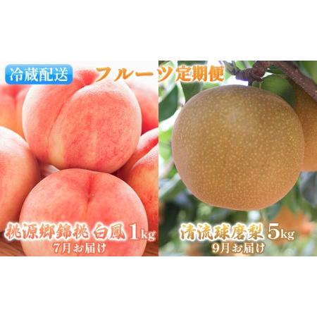 ふるさと納税 フルーツ 定期便 2回 先行予約 桃 白鳳 特製桃源郷錦 約1kg 梨 清流錦 約5kg  2024年 発送 もも モモ なし フルーツ 果物 デザート .. 熊本県錦町