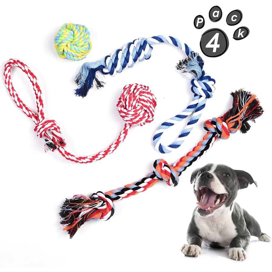 Tug of war hot sale with teething puppy