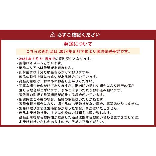 ふるさと納税 熊本県 熊本県産 スイートコーンとフルーツトマト