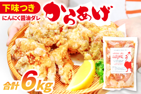 C-1062 ハジメのからあげ　秘伝ダレの下味付き鶏モモ肉（300g×20袋）