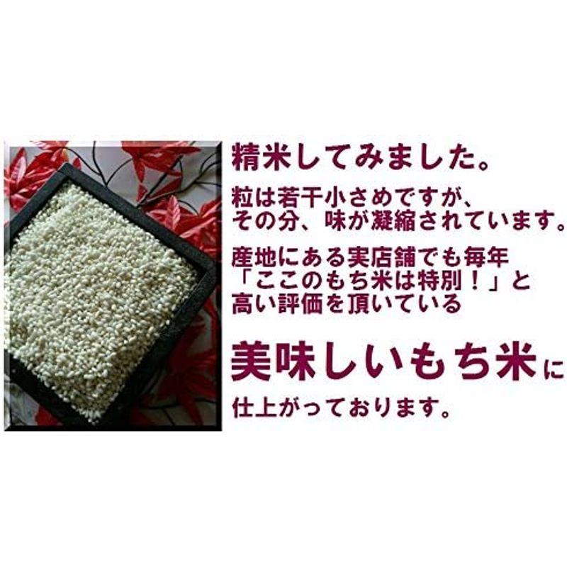 令和4年 熊本県産 もち米 ひよくもち 白米 5kg