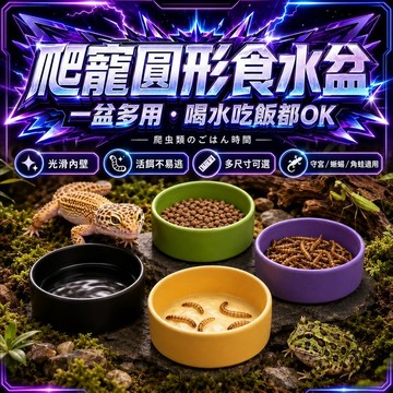 【現貨】爬寵飼養 守宮 鬃獅 蜥蜴 雨林蠍子 蜘蛛 寵物爬蟲食盆 水盆 小寵爬寵 飼養盆 餵食器 防滑底座 多款可選