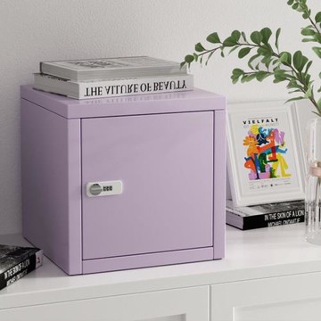 小型鐵皮柜家用臥室密碼鎖學生利克胡保險箱小型桌上收納柜儲物柜