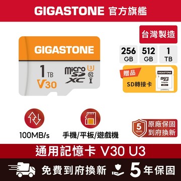 【GIGASTONE】通用記憶卡1T/512G/256G V30 U3｜台灣製造microSD/C10 U1/監視器