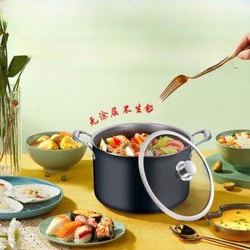 ZXTIG莊信鈦湯鍋純鈦復合湯鍋家用加厚加大煲湯鍋明火燃氣灶專用