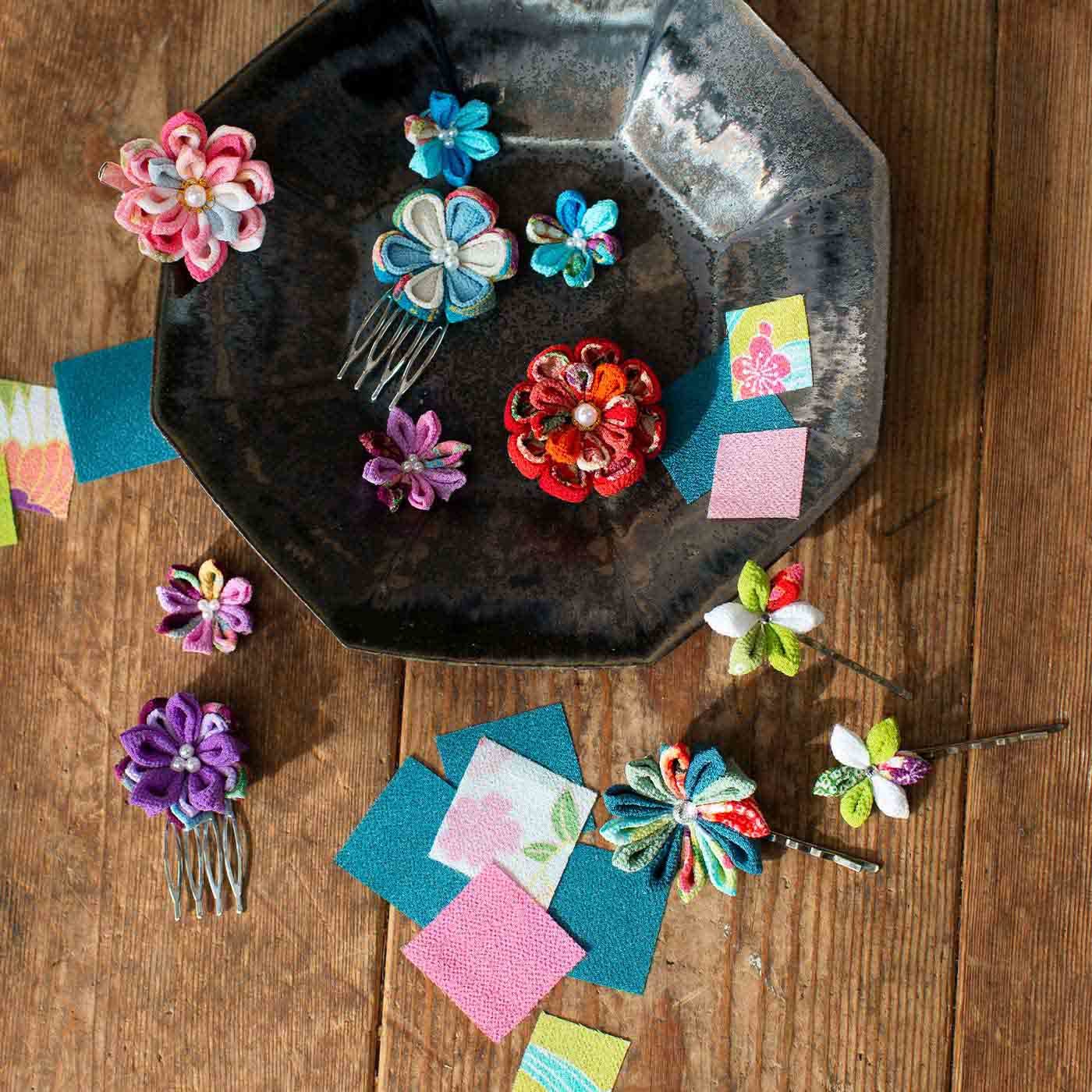 フェリシモ 全 5種別 把手細工 最盛期図鑑のコンヴェンション Whirledpies Com